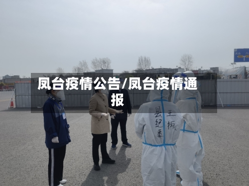 凤台疫情公告/凤台疫情通报-第2张图片