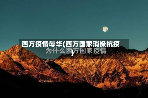 西方疫情辱华(西方国家消极抗疫)-第2张图片