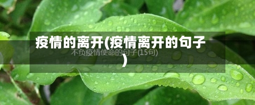 疫情的离开(疫情离开的句子)-第3张图片