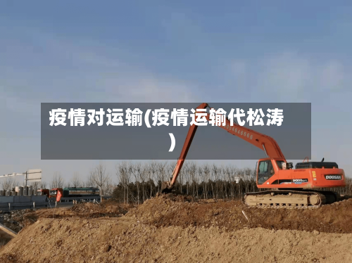疫情对运输(疫情运输代松涛)