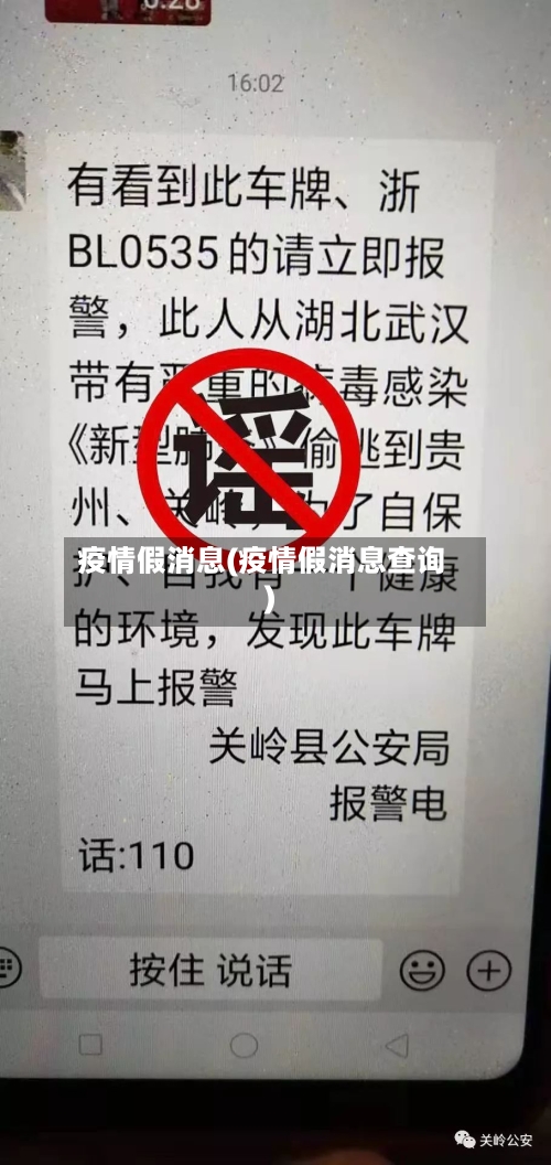 疫情假消息(疫情假消息查询)-第2张图片