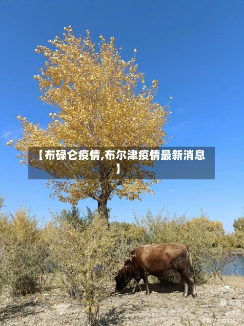 【布碌仑疫情,布尔津疫情最新消息】