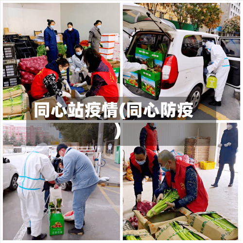 同心站疫情(同心防疫)