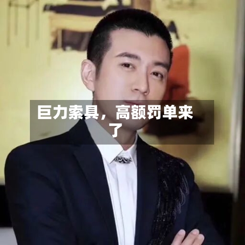 巨力索具，高额罚单来了-第3张图片