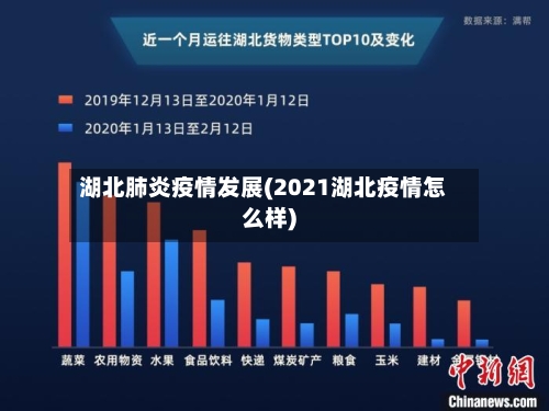 湖北肺炎疫情发展(2021湖北疫情怎么样)-第3张图片