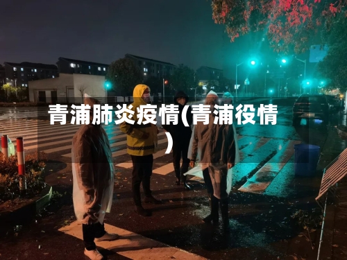 青浦肺炎疫情(青浦役情)-第2张图片