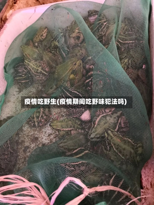 疫情吃野生(疫情期间吃野味犯法吗)-第2张图片