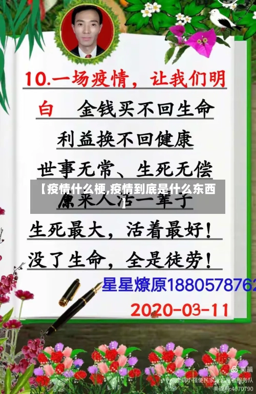 【疫情什么梗,疫情到底是什么东西】-第2张图片