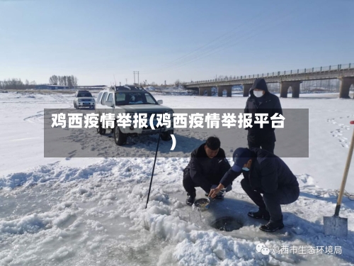 鸡西疫情举报(鸡西疫情举报平台)-第2张图片