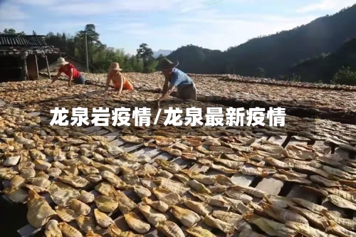 龙泉岩疫情/龙泉最新疫情-第3张图片