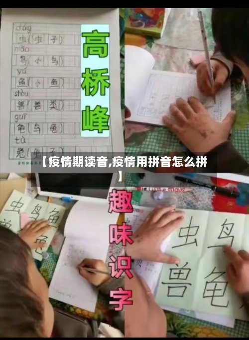 【疫情期读音,疫情用拼音怎么拼】-第3张图片
