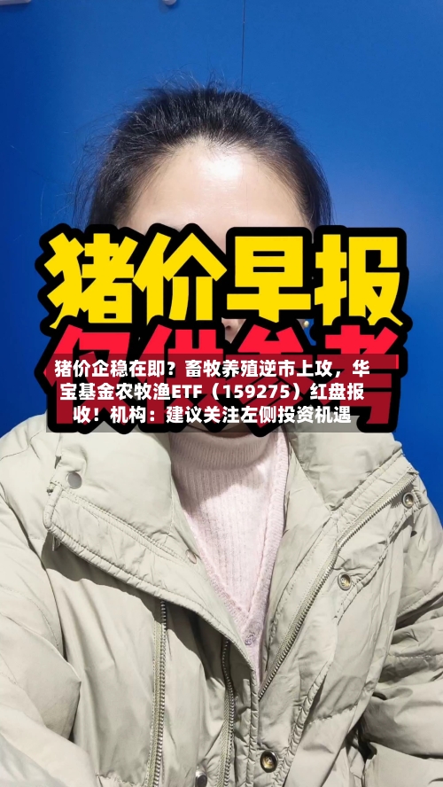 猪价企稳在即？畜牧养殖逆市上攻，华宝基金农牧渔ETF（159275）红盘报收！机构：建议关注左侧投资机遇-第2张图片