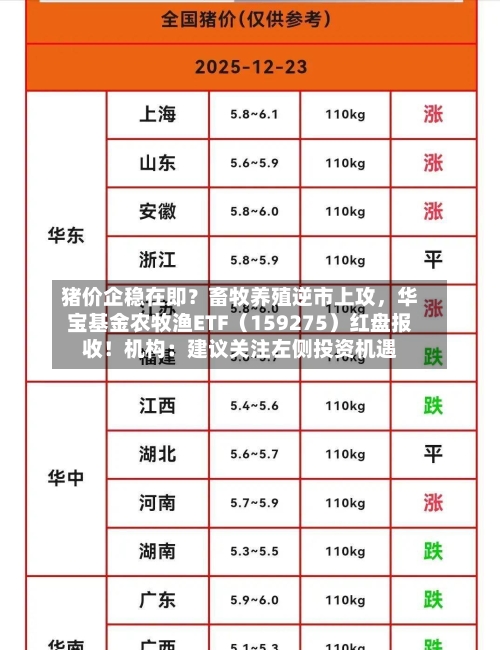 猪价企稳在即？畜牧养殖逆市上攻，华宝基金农牧渔ETF（159275）红盘报收！机构：建议关注左侧投资机遇-第3张图片