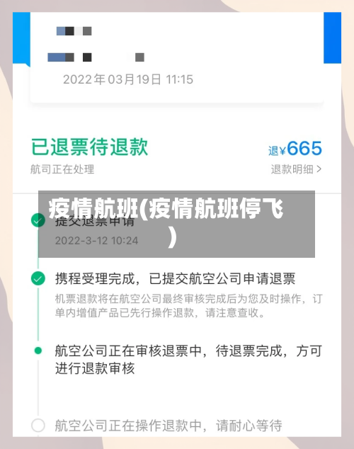 疫情航班(疫情航班停飞)-第2张图片