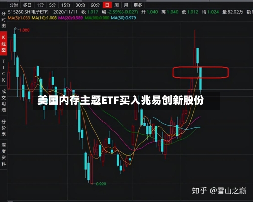 美国内存主题ETF买入兆易创新股份-第3张图片