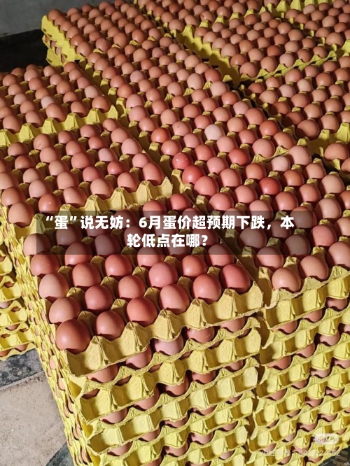 “蛋”说无妨：6月蛋价超预期下跌，本轮低点在哪？