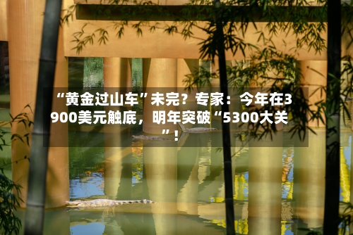 “黄金过山车”未完？专家：今年在3900美元触底	，明年突破“5300大关”！-第2张图片