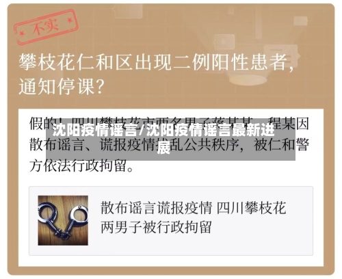 沈阳疫情谣言/沈阳疫情谣言最新进展-第2张图片
