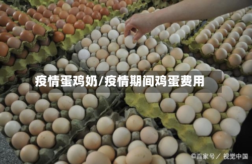 疫情蛋鸡奶/疫情期间鸡蛋费用