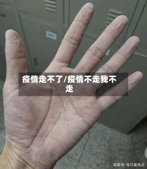 疫情走不了/疫情不走我不走-第2张图片
