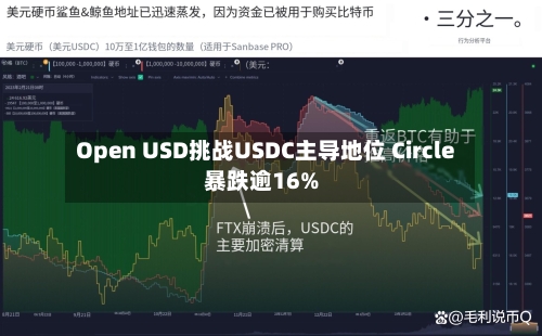 Open USD挑战USDC主导地位 Circle暴跌逾16%