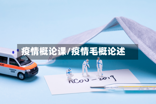 疫情概论课/疫情毛概论述-第2张图片