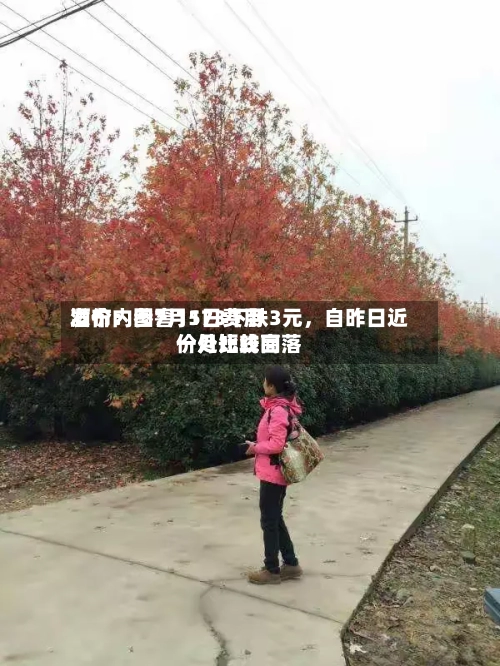 酒价内参7月1日费用发布：国窖1573下跌3元，自昨日近一月比较高价处短线回落-第3张图片