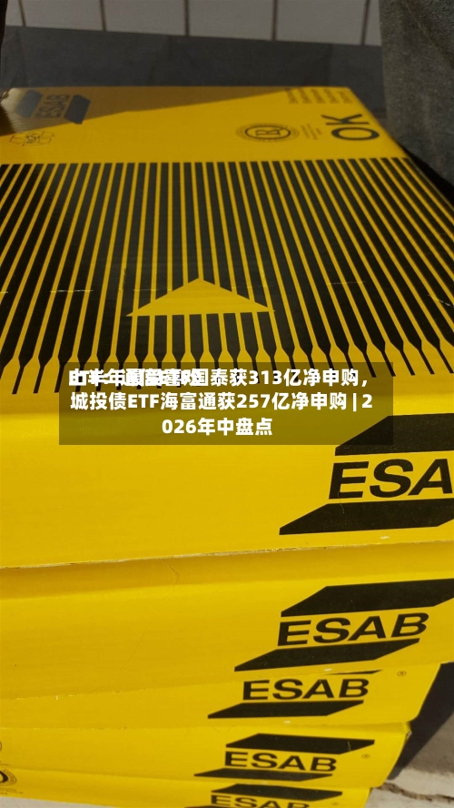 上半年最受喜欢ETF：通信ETF国泰获313亿净申购，城投债ETF海富通获257亿净申购 | 2026年中盘点-第1张图片