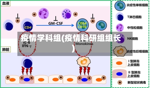 疫情学科组(疫情科研组组长)