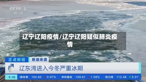 辽宁辽阳疫情/辽宁辽阳疑似肺炎疫情