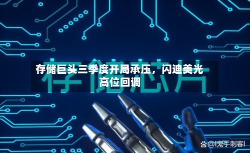 存储巨头三季度开局承压，闪迪美光高位回调-第2张图片