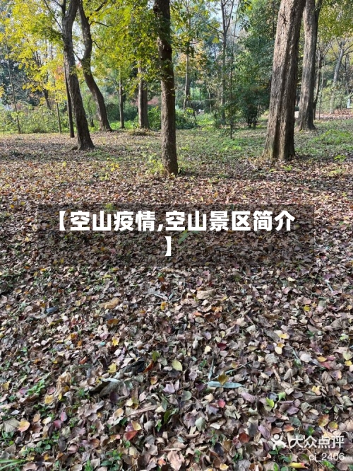 【空山疫情,空山景区简介】