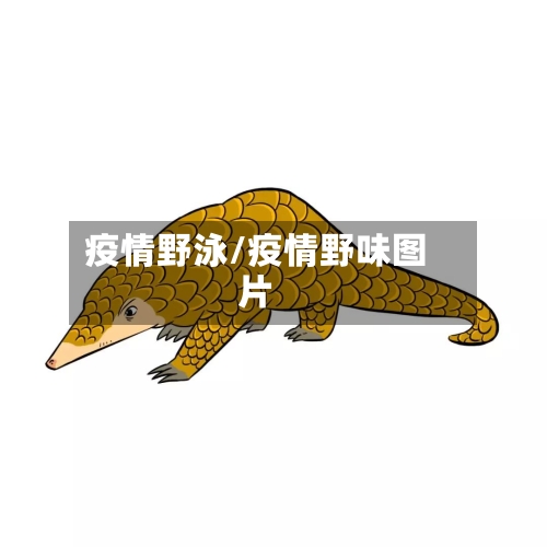 疫情野泳/疫情野味图片-第3张图片