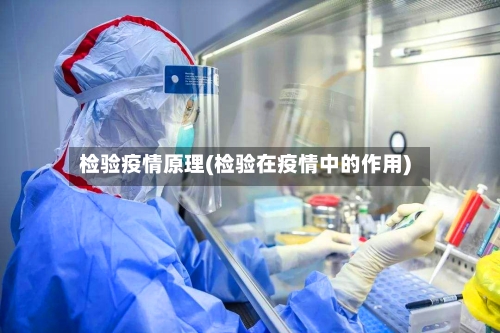 检验疫情原理(检验在疫情中的作用)-第2张图片