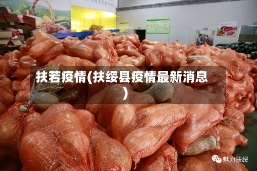 扶若疫情(扶绥县疫情最新消息)-第2张图片
