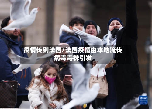 疫情传到法国/法国疫情由本地流传病毒毒株引发