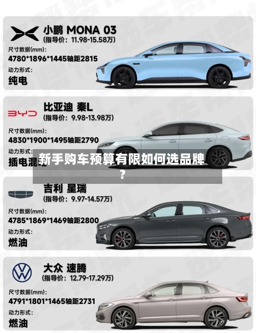 新手购车预算有限如何选品牌?-第3张图片