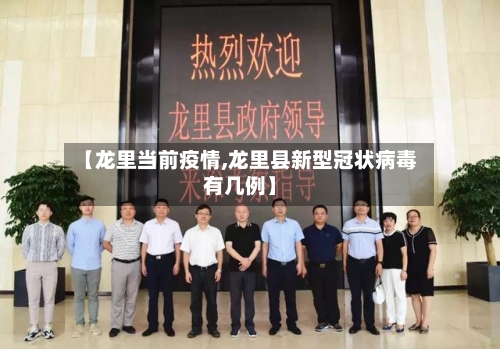 【龙里当前疫情,龙里县新型冠状病毒有几例】-第2张图片