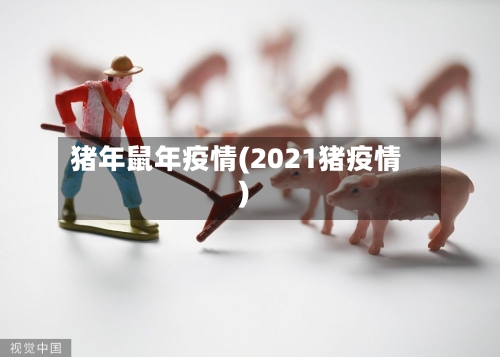 猪年鼠年疫情(2021猪疫情)-第2张图片