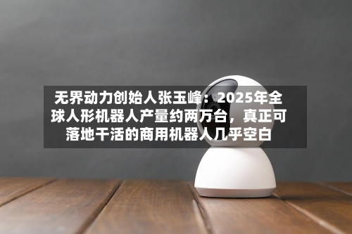 无界动力创始人张玉峰：2025年全球人形机器人产量约两万台，真正可落地干活的商用机器人几乎空白-第3张图片