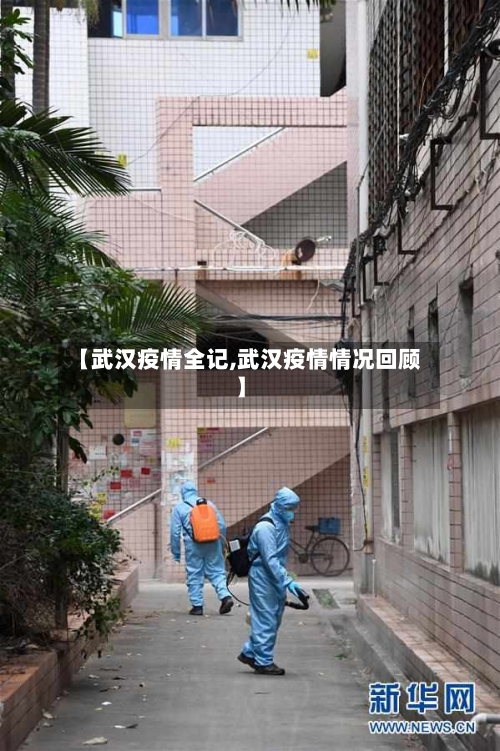 【武汉疫情全记,武汉疫情情况回顾】-第3张图片