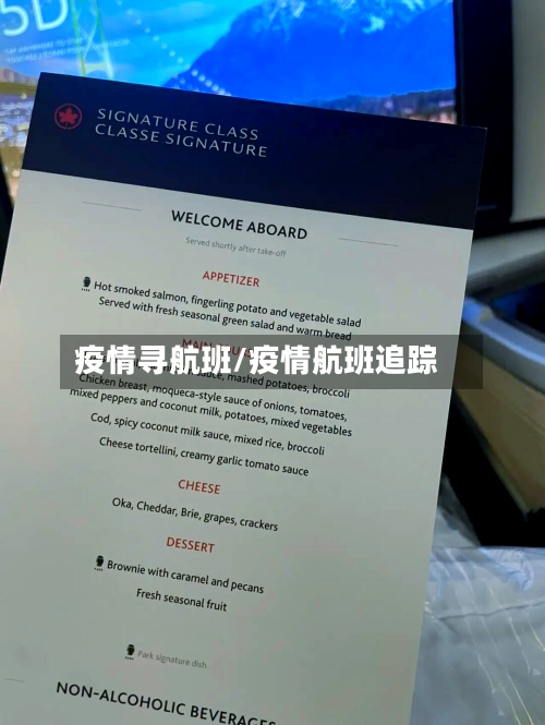疫情寻航班/疫情航班追踪