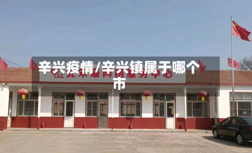 辛兴疫情/辛兴镇属于哪个市-第2张图片