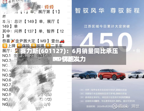 赛力斯(601127)：6月销量同比承压 M〖陆〗、M9快速发力-第3张图片