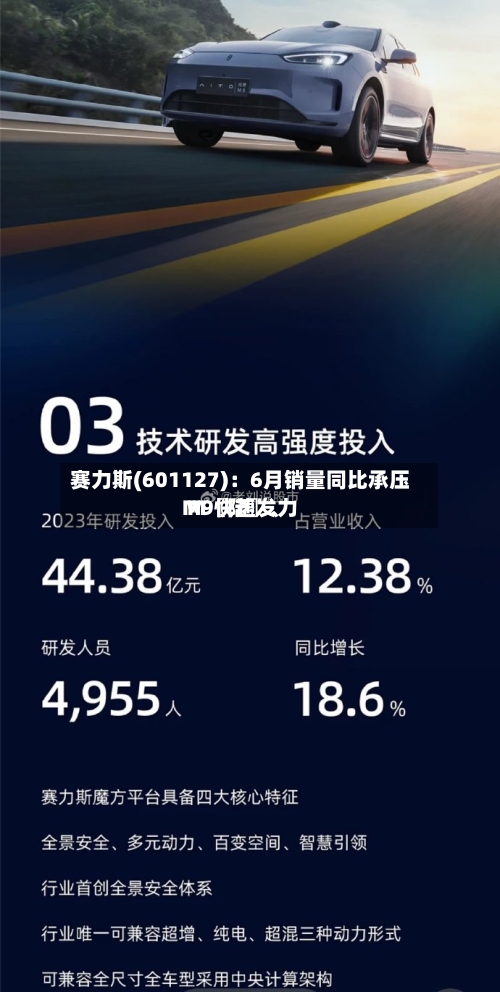 赛力斯(601127)：6月销量同比承压 M〖陆〗、M9快速发力