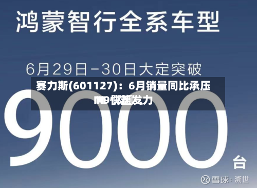 赛力斯(601127)：6月销量同比承压 M〖陆〗、M9快速发力-第3张图片