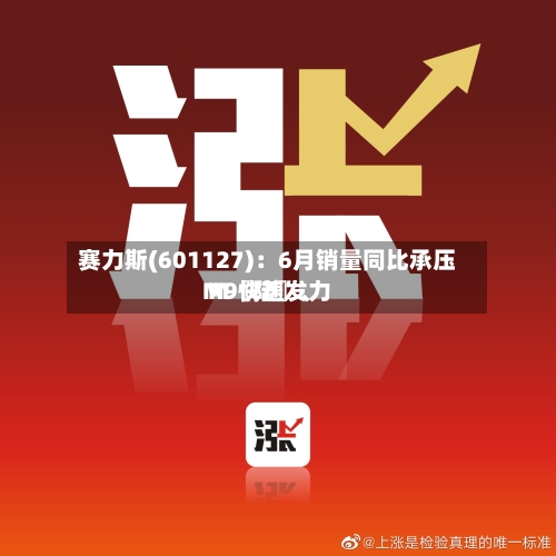 赛力斯(601127)：6月销量同比承压 M〖陆〗、M9快速发力