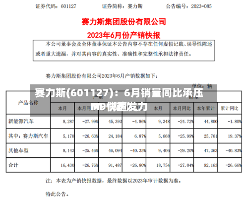 赛力斯(601127)：6月销量同比承压 M〖陆〗、M9快速发力-第2张图片