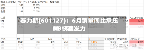 赛力斯(601127)：6月销量同比承压 M〖陆〗、M9快速发力
