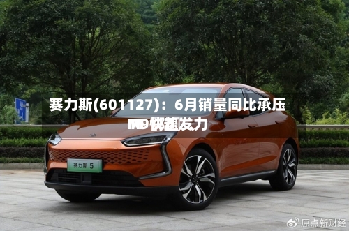 赛力斯(601127)：6月销量同比承压 M〖陆〗	、M9快速发力-第2张图片